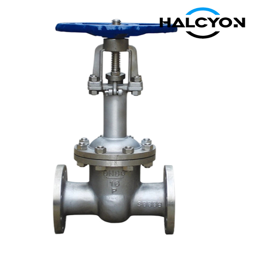 CB/T 4420 Marine Cryogenic Stainless Gate Valve